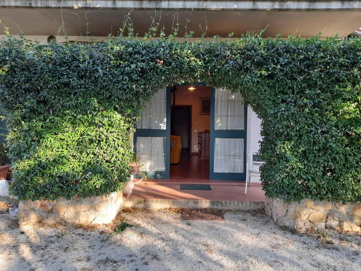 8380 Il Tiglio Verde Manciano Italy