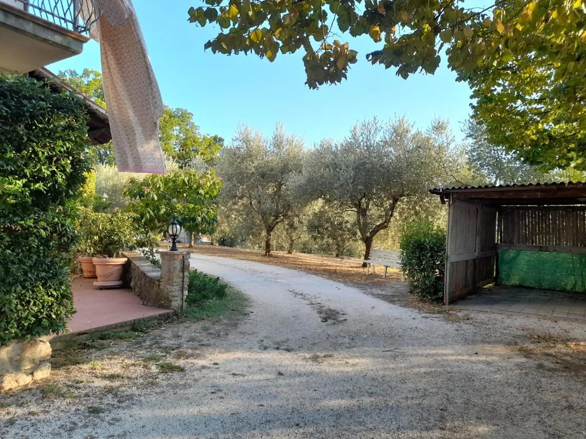 8380 Il Tiglio Verde Manciano