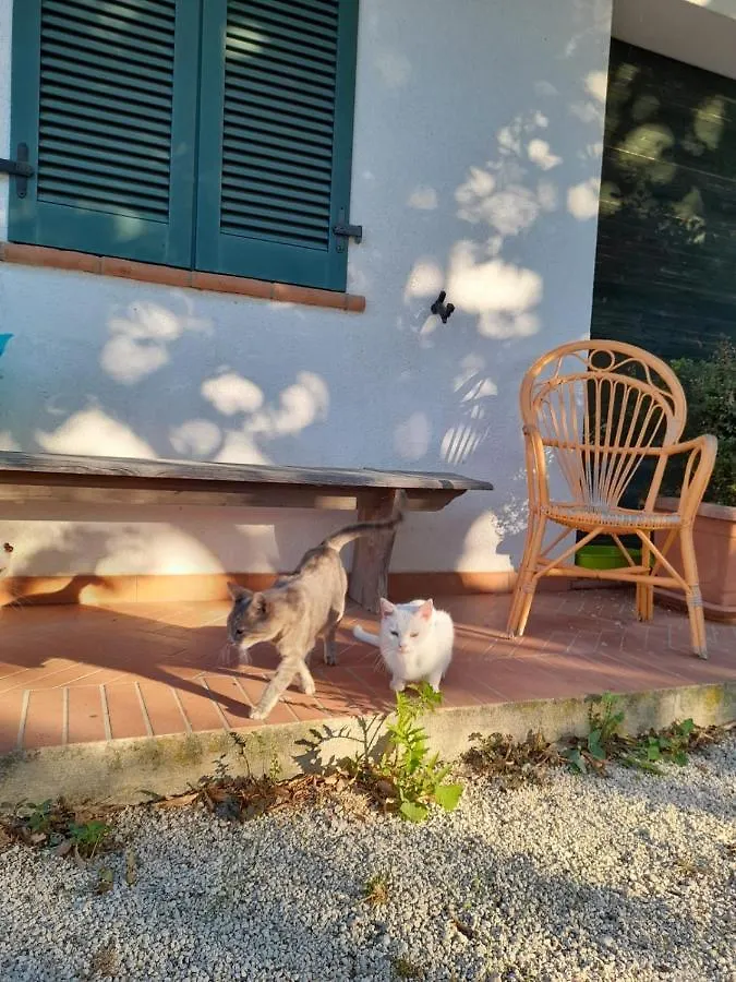 8380 Il Tiglio Verde Manciano