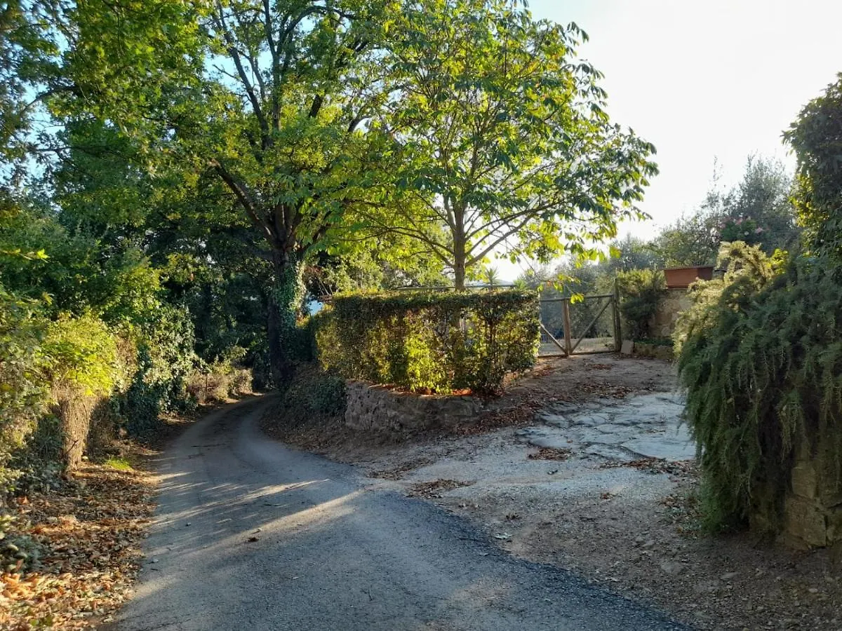 8380 Il Tiglio Verde Manciano